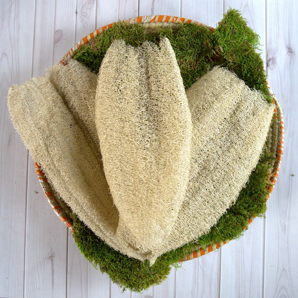 Ugandan Exfoliator Natural Loofah (Ekyangwe)